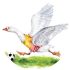 DaGoose - WK Poule 2022