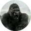 The King Kong - EK Poule 2021