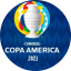 Rosa - Prode Copa América 2021