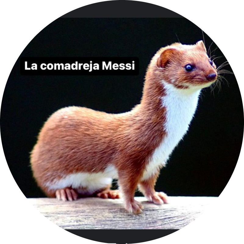 La comadreja de Messi - Prode Mundial 2022