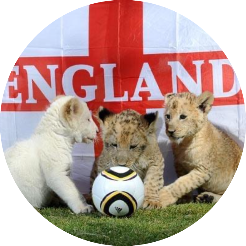 LionLis - Fantasy Soccer World Cup 2022