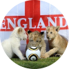 LionLis - Fantasy Soccer World Cup 2022
