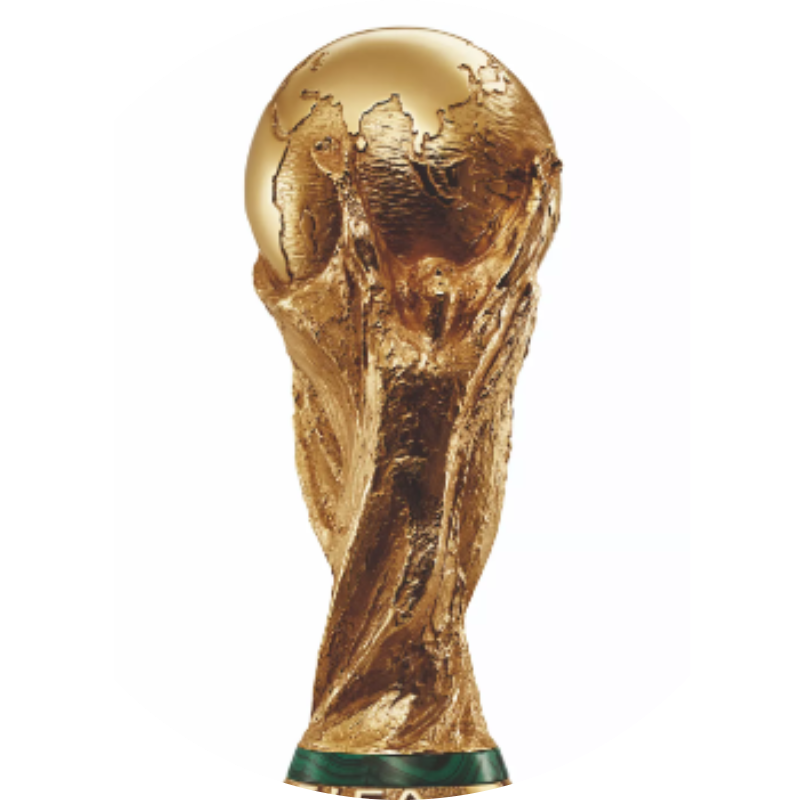 DSBO Partner PgM - Fantasy Soccer World Cup 2022