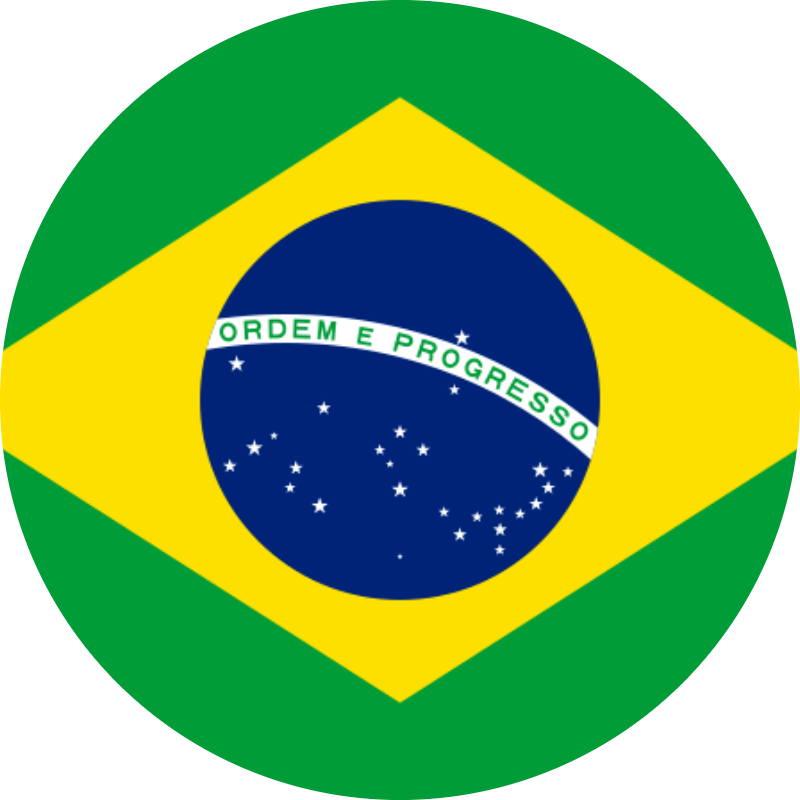Brazil Dad - Fantasy Soccer World Cup 2022